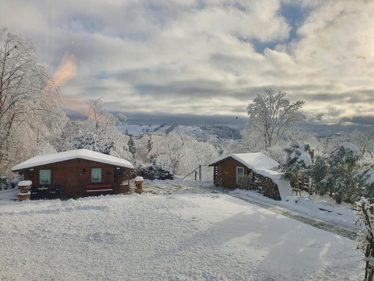 4 Sterne Ferienwohnung 140 qm im Haus Tina Sankt Andreasberg Exterior foto