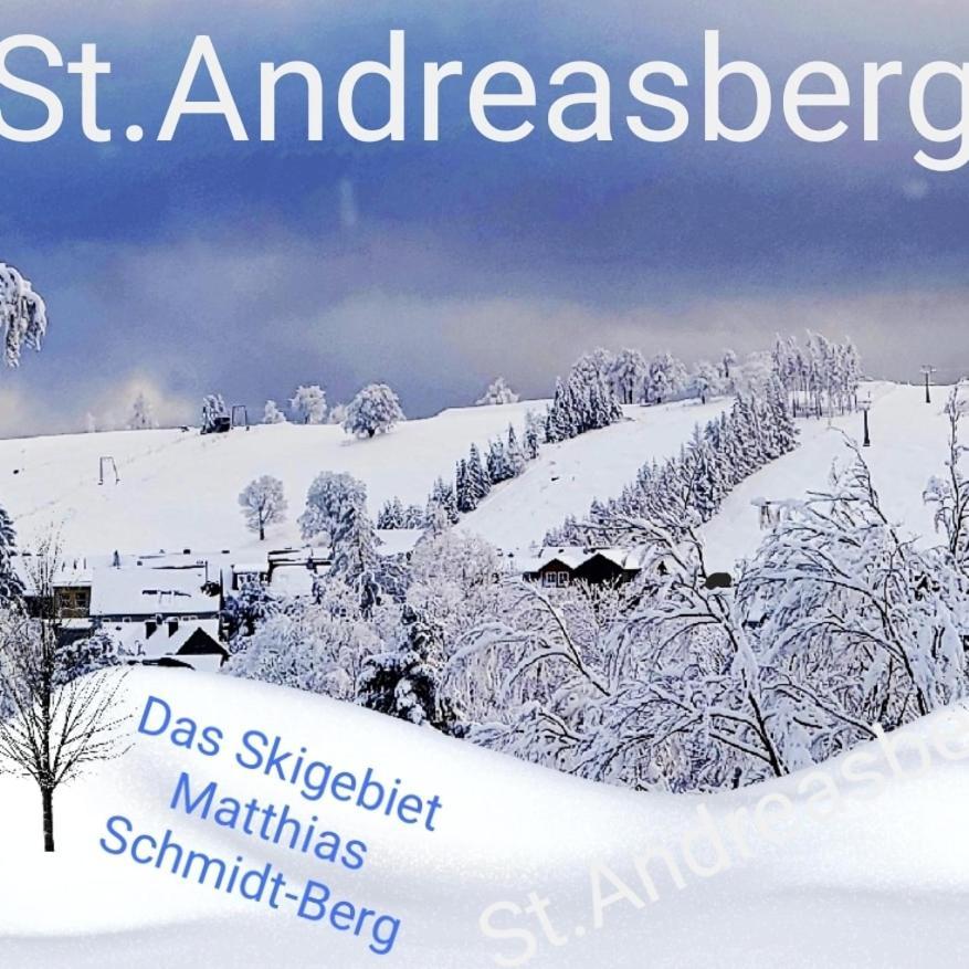 4 Sterne Ferienwohnung 140 qm im Haus Tina Sankt Andreasberg Exterior foto